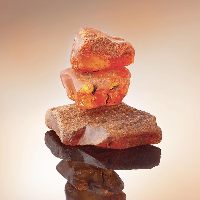 Ambre